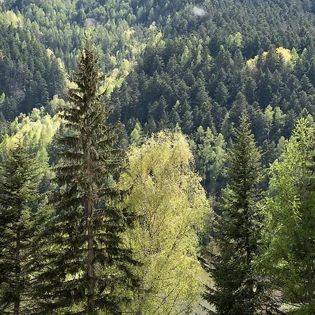 Alta Valle Maira C 公寓 *